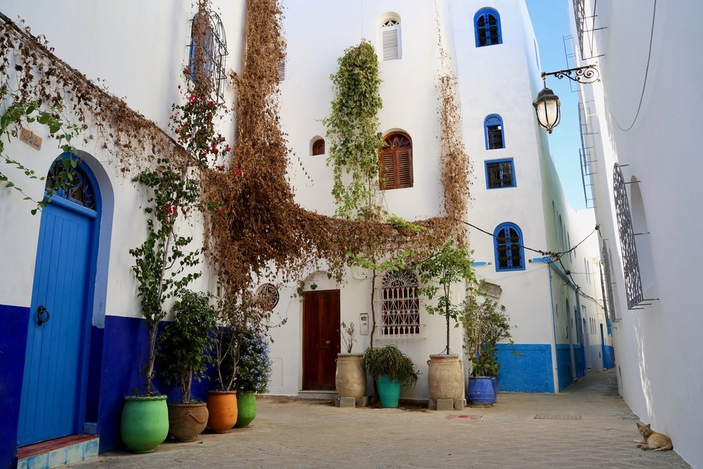 private tours in tangier